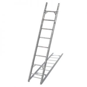 Scaffolding ladder
