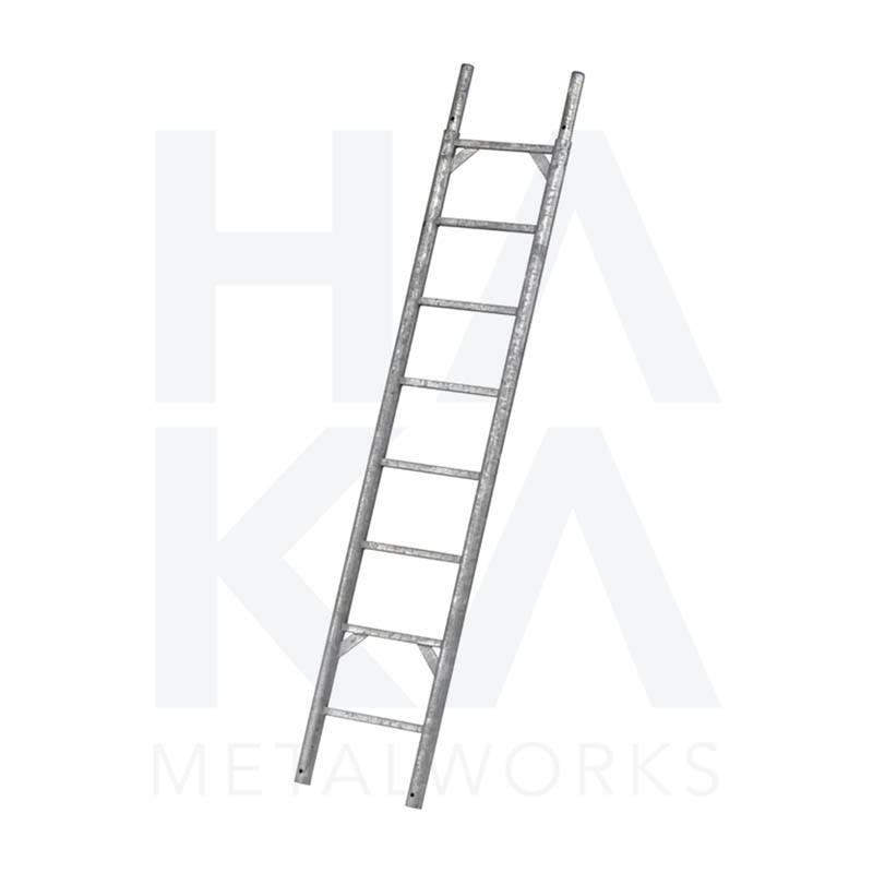 Scaffolding ladder